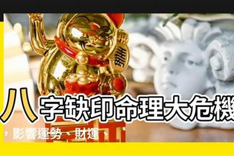 重阳节 吃什么