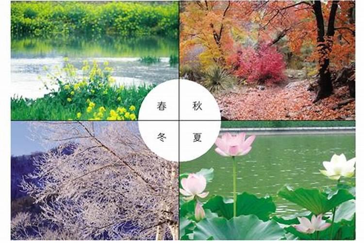 端午节都在吃什么浙江开化？