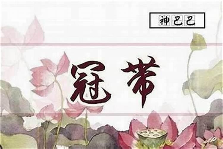 鹦鹉鱼养两条吉不吉利