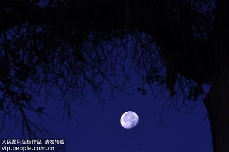 中秋祭月的中秋节由来