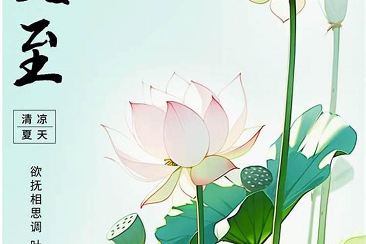 故乡的春节早上中午下午晚上在干什么？