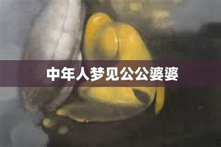 梦见婆婆公公的预兆