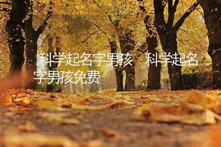 白羊座男生最配星座 哪个星座女生和白羊座男生般配