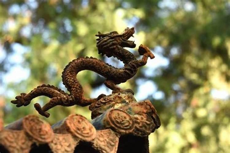十二生肖生辰八字详解,八字详解