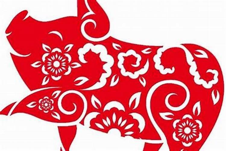 属狗和属猪不能在一起吗 狗和猪婚姻合不合