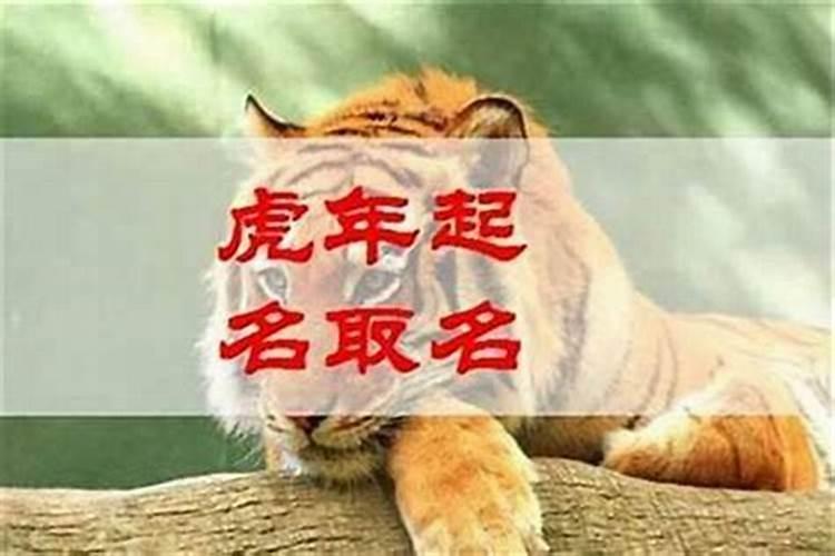 帮忙小女取个名字