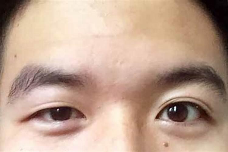 老鼠和兔子属相合不合