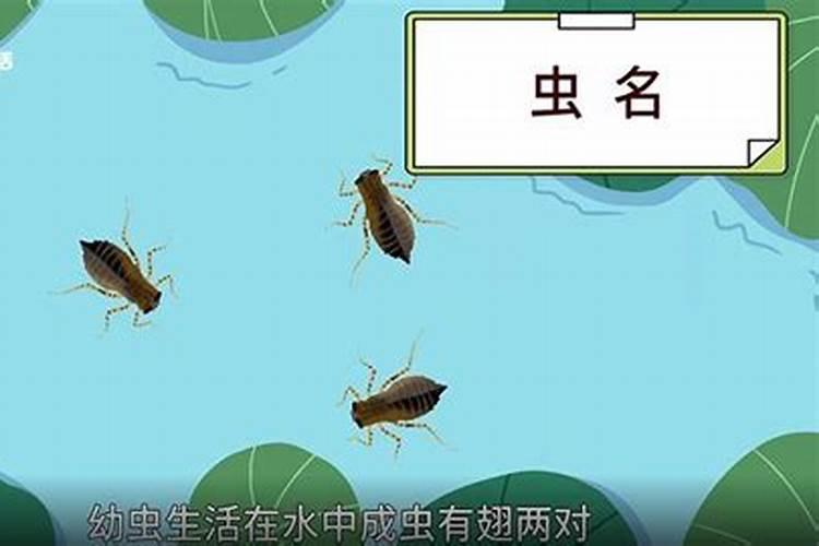 初见惊艳的句子 关于初见的唯美句子