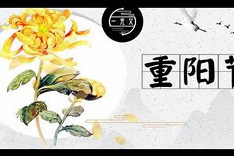 太岁水代替爽肤水用可以吗