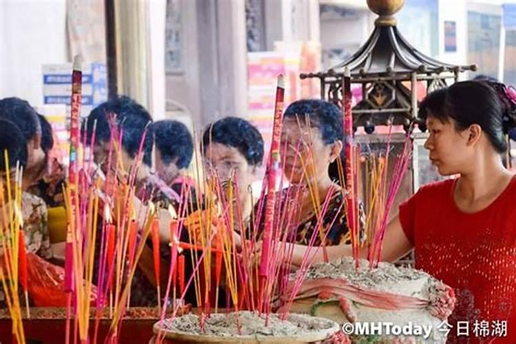 属猪人运气最好的年份