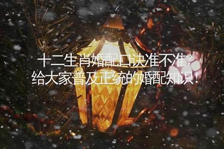 中国的属相婚配,也不知道准不准