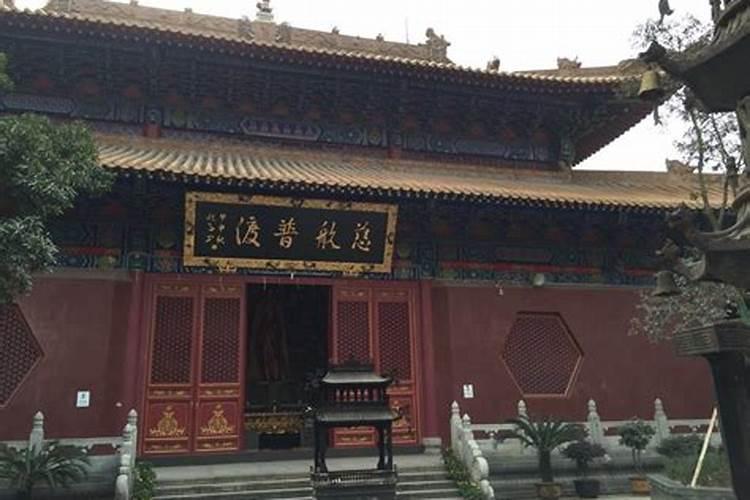 2025属鼠的几月有一难 属鼠的人干什么最挣钱