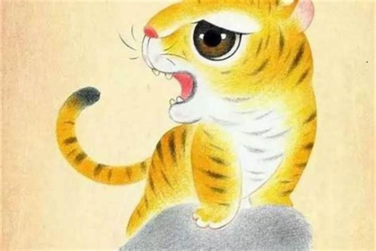 鼠和虎合财吗