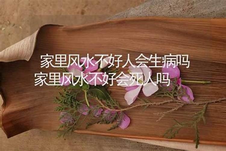 属猪人2025年每月运势