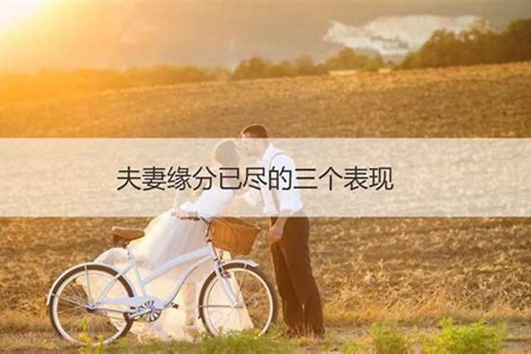 夫妻缘分已尽的征兆