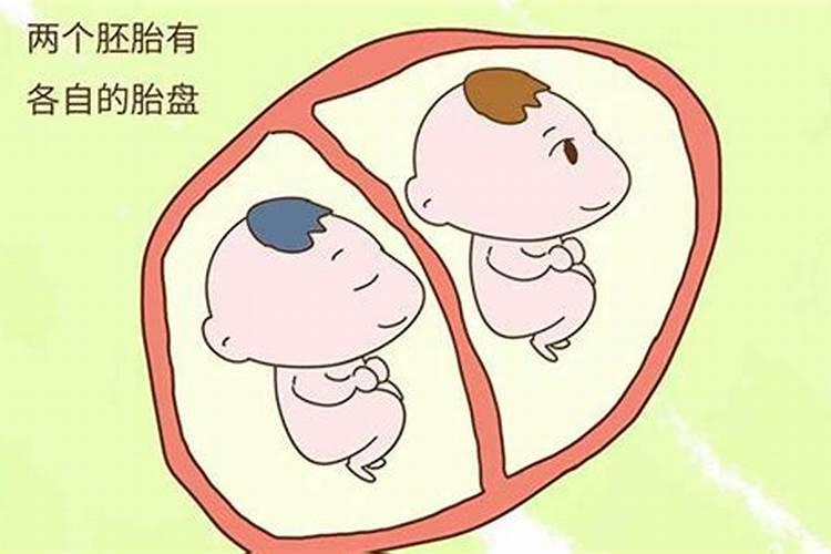 为何双胞胎的命运不同