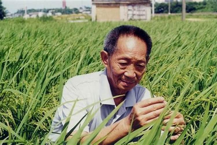 ​袁隆平是中元节出生的吗