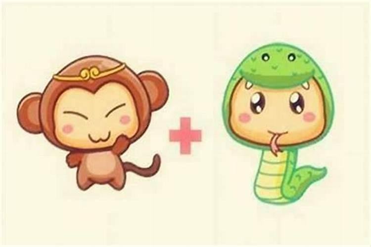 属蛇的和属猴的人婚配 猴和蛇相配婚姻如何