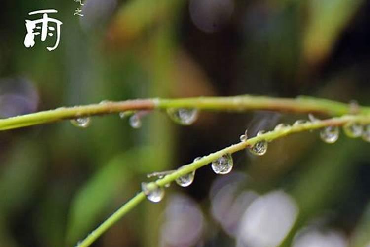谷雨什么意思