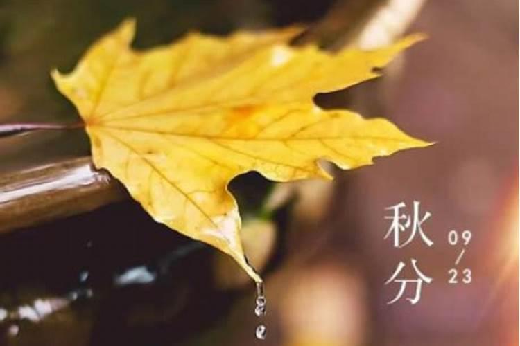 秋分养生要注意什么