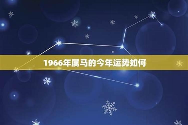 四川人元宵节吃什么