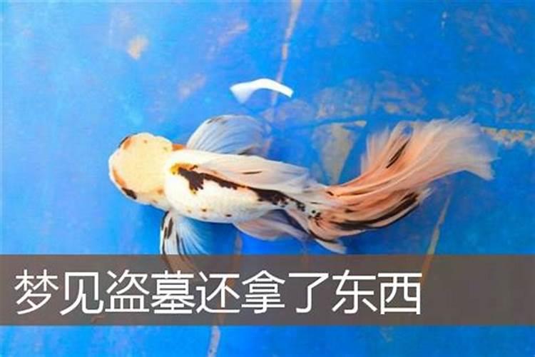 八字合婚主要看日柱还是生肖 八字合婚日柱怎么看？
