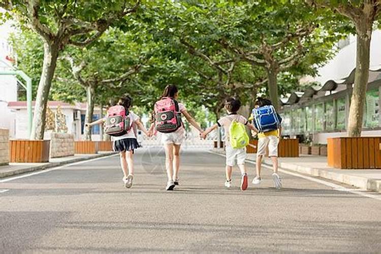 梦见回学校读书