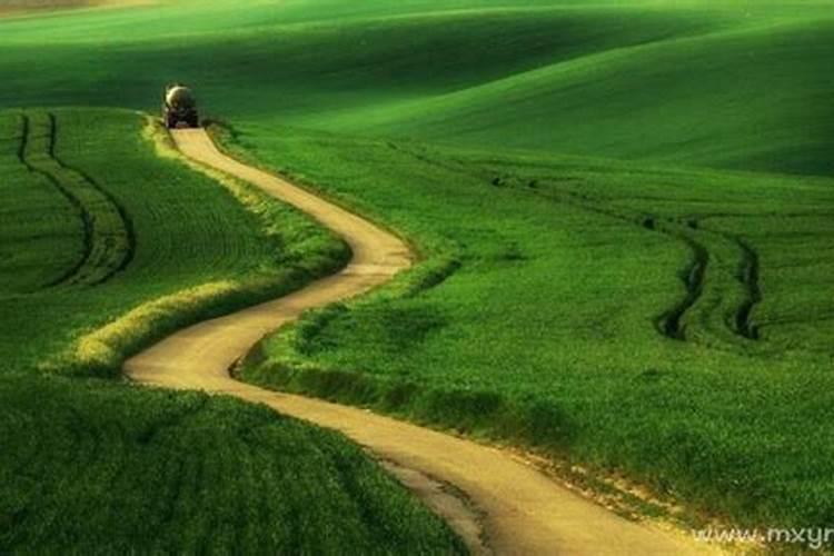 梦到走错路又找到正确的路是什么预兆