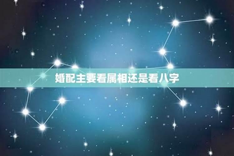 婚姻合不合看属相还是看八字 八字合婚只看属相吗