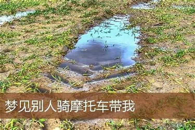 八字婚姻算命:解析你的姻缘与幸福
