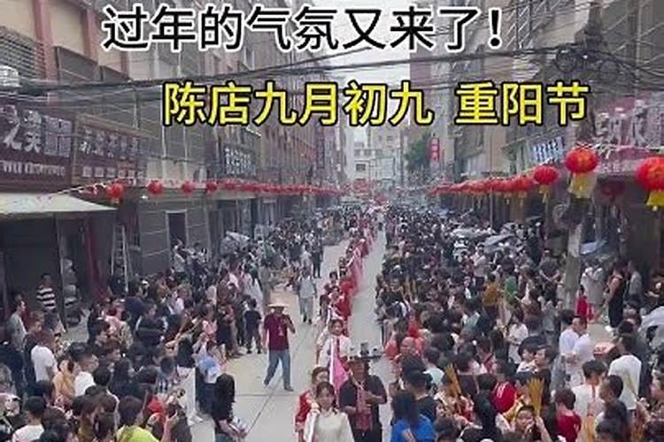 属虎人2025全年运势详解 属虎人2025年每月运势