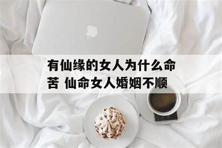 属鸡人2025全年运势 属鸡人2025年每月运势
