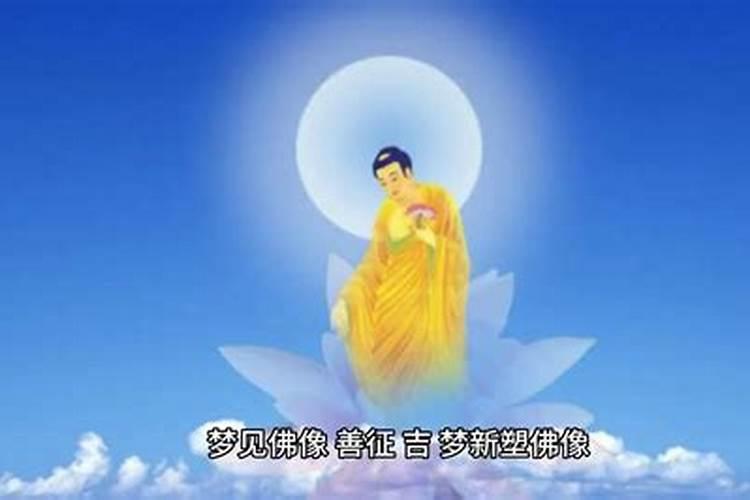 1983年狗是什么命 83年猪40岁后十年大运运程
