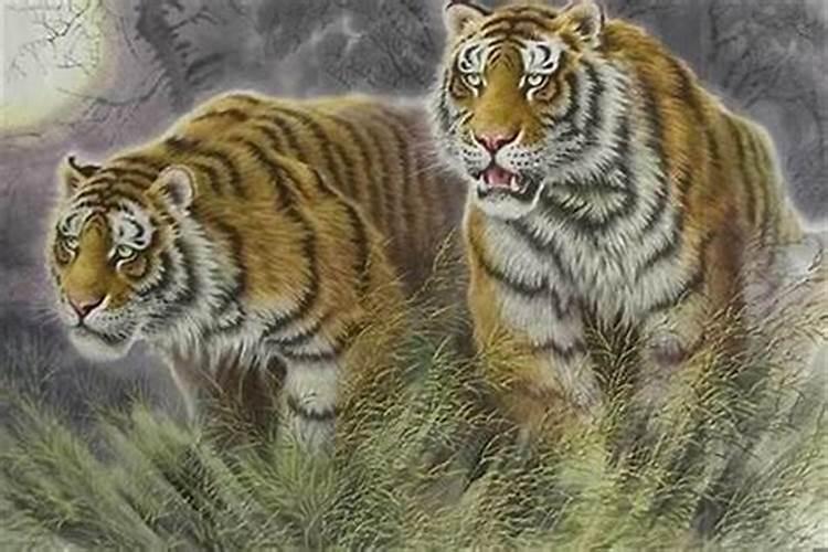 申猴女和申猴男的婚姻怎么样？