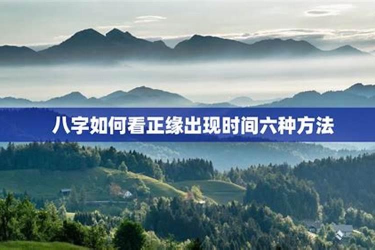 生肖鼠2025年运势 属鼠2025年运势及运程