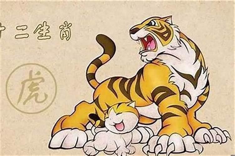 2025年属虎人的全年运势如何