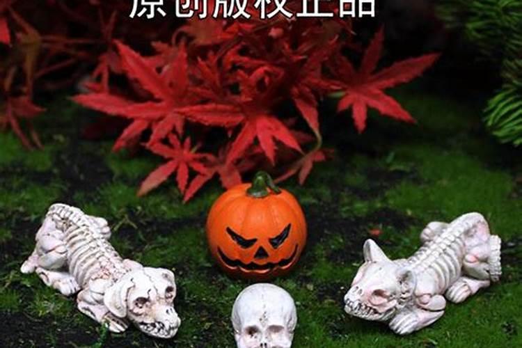 2001生肖什么冲的太岁