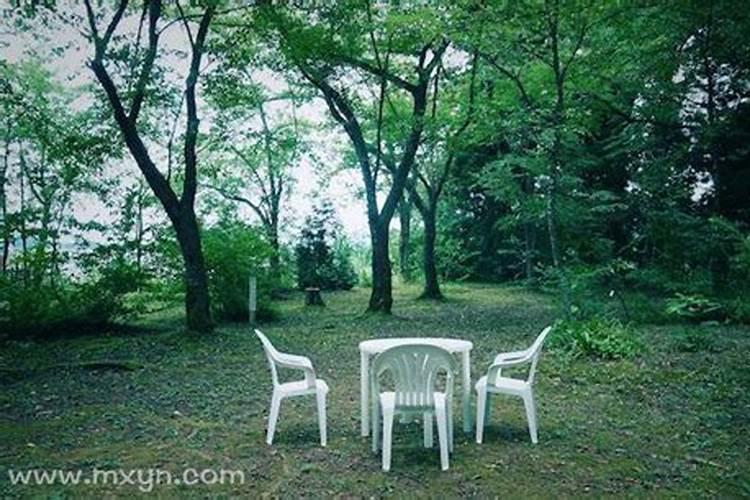 清明节新坟可以填土吗