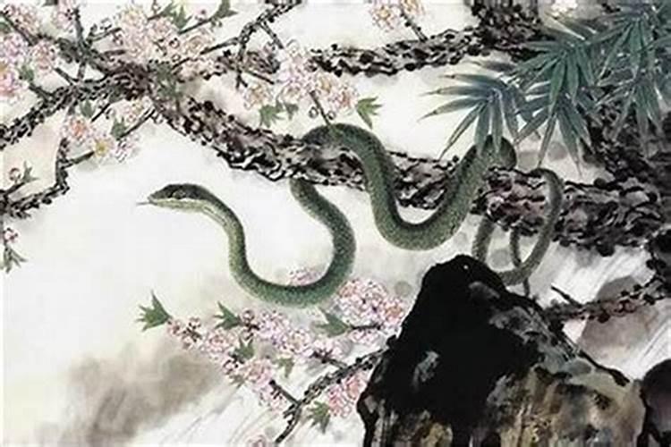 本命年财运怎么样