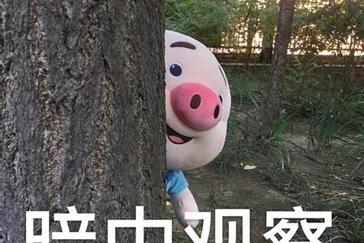 轻信“驾考包过”,学员无法退费,已有多人中招!这件事给予我们哪些警示...