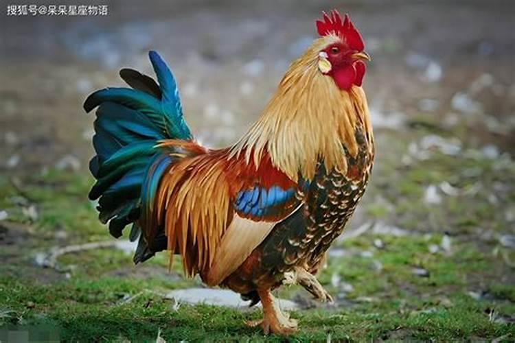 婚姻八字不合怎么用风水来缓解？