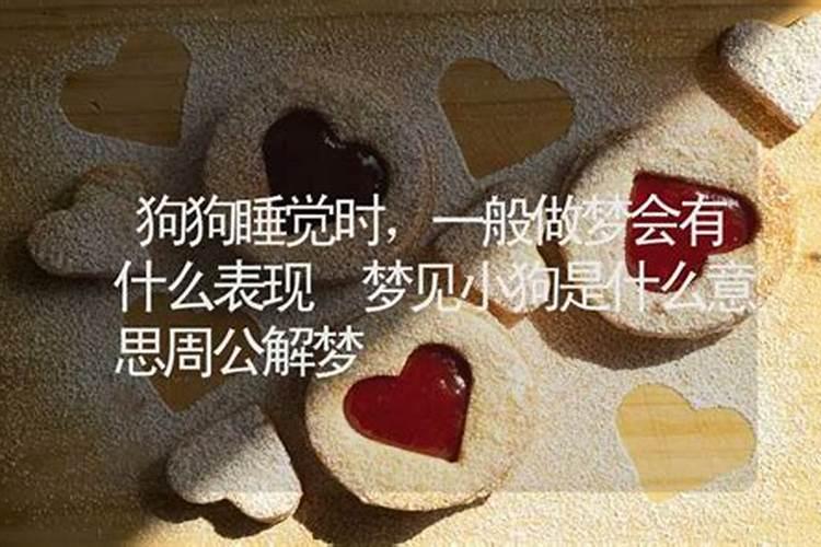 梦见狗睡觉是什么意思？