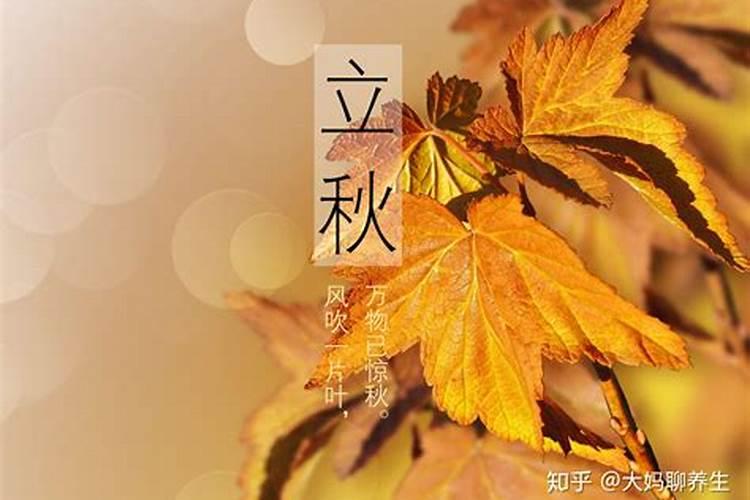 秋老虎出生的人是什么命 那天出生好吗