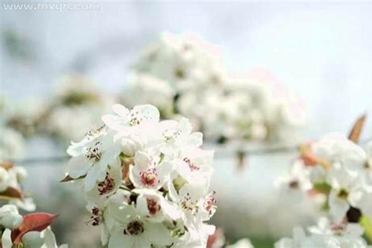 为什么端午节不宜结婚？忌结婚嫁娶的十大凶日