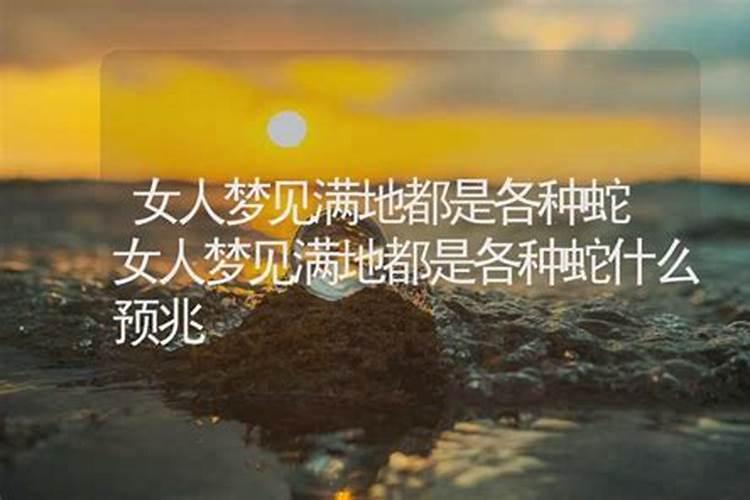 女人梦见满地都是蛇在爬