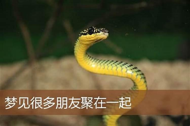 关于春节注意事项和禁忌有哪些