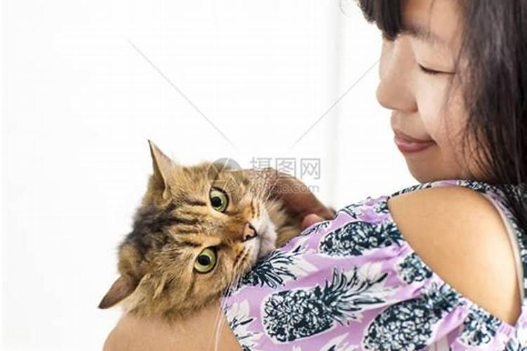 梦到抱着猫是什么意思？