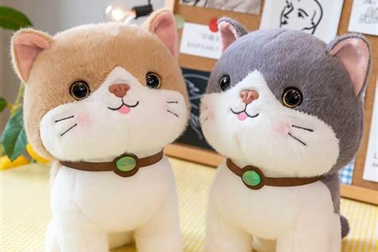 梦见抱着一只猫的预兆