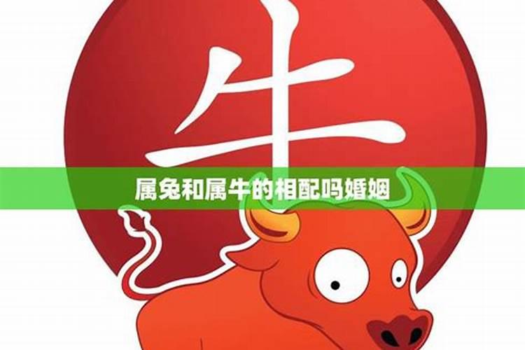 合婚看八字还是属相 八字是合婚的重要因素？