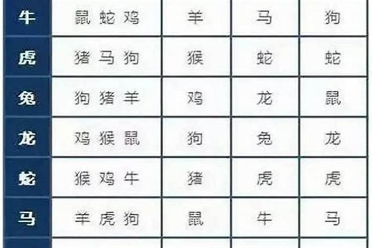 属相相冲是什么意思？相冲就不能结婚吗？